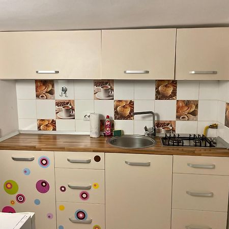 Tampa Residence 브라쇼브 외부 사진