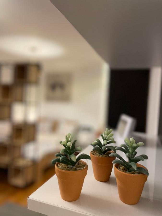 Tampa Residence 브라쇼브 외부 사진