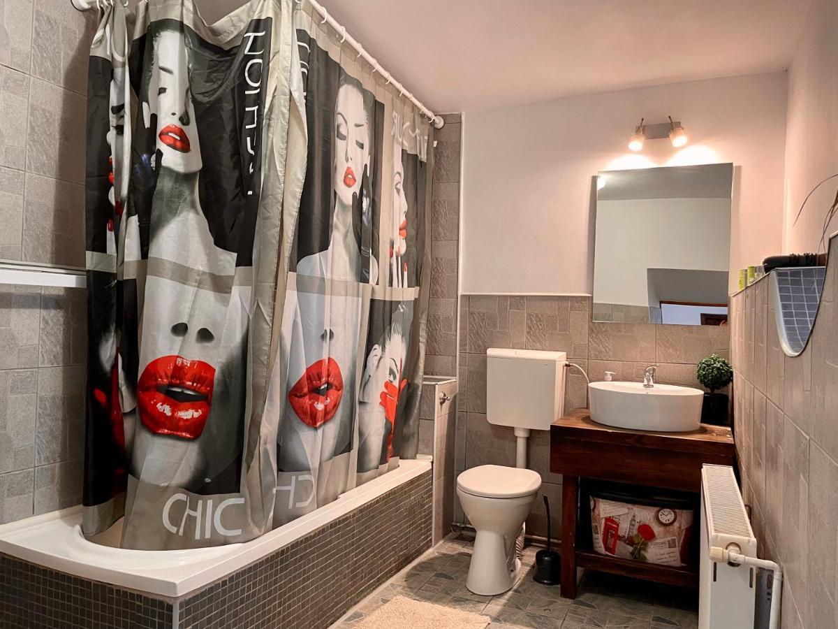 Tampa Residence 브라쇼브 외부 사진