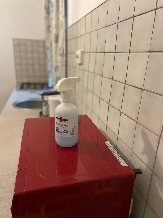 Tampa Residence 브라쇼브 외부 사진