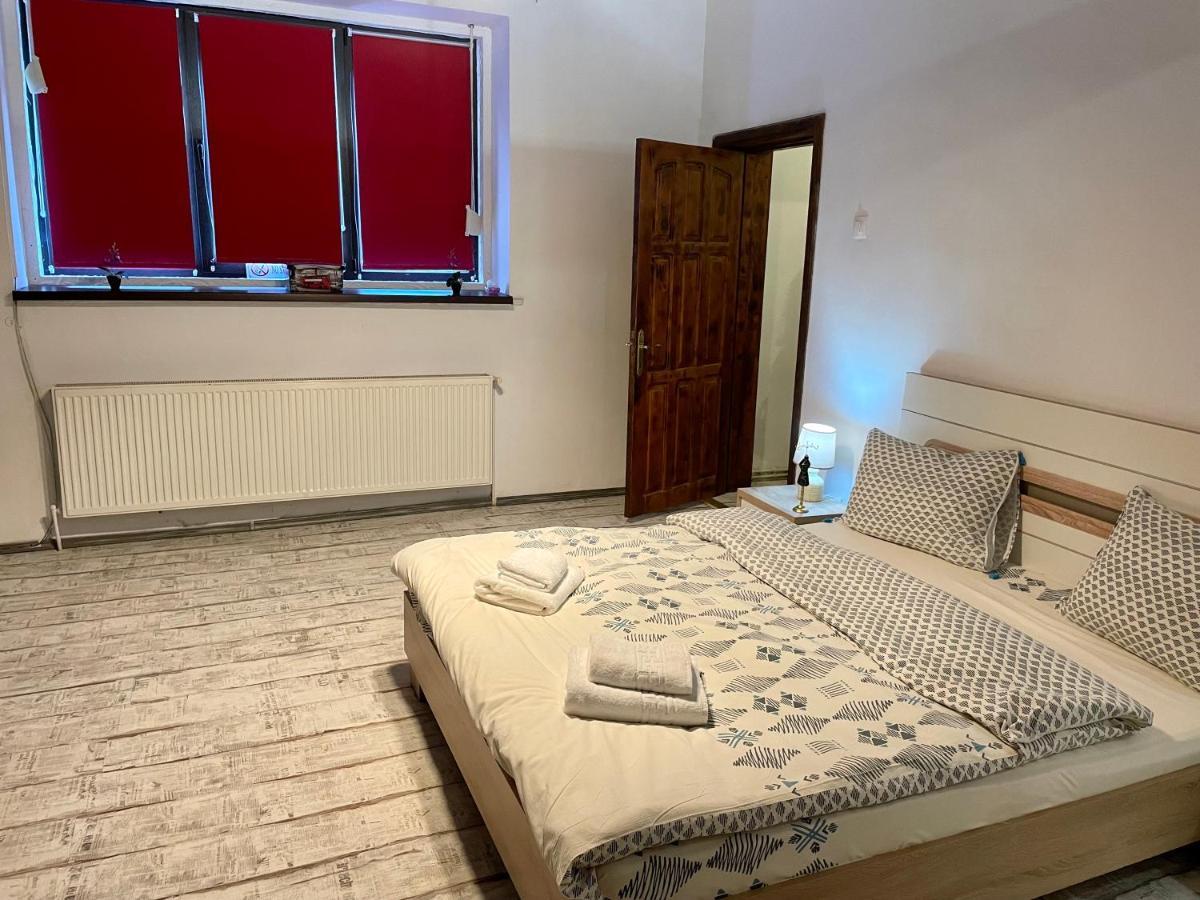 Tampa Residence 브라쇼브 외부 사진