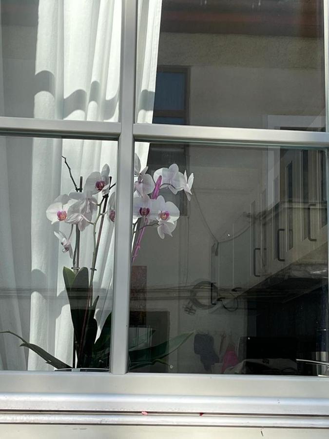 Tampa Residence 브라쇼브 외부 사진