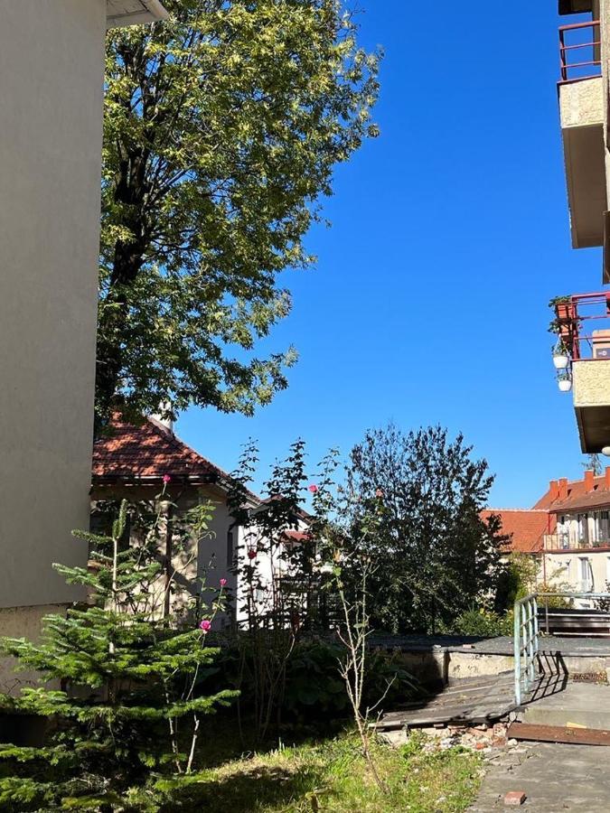 Tampa Residence 브라쇼브 외부 사진
