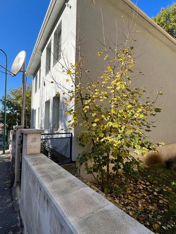 Tampa Residence 브라쇼브 외부 사진