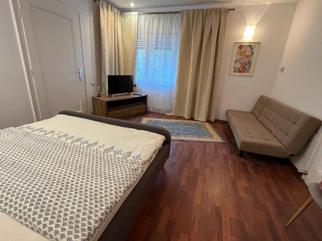 Tampa Residence 브라쇼브 외부 사진